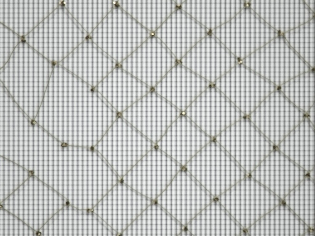 wire mesh to keep mice out Factory Price
